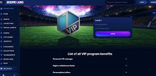 House of Jack Platform 2025 Guide for Australian Gamblers – Advanced Review